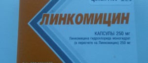 Как правильно дать коту дюфалак. Смотреть фото Как правильно дать коту дюфалак. Смотреть картинку Как правильно дать коту дюфалак. Картинка про Как правильно дать коту дюфалак. Фото Как правильно дать коту дюфалак