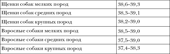 Нормальная температура у собак