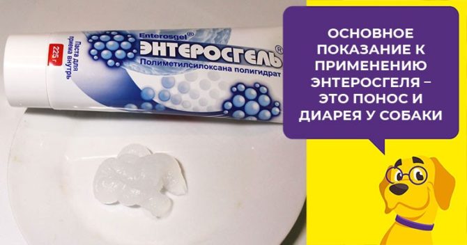 Энтеросгель для собак