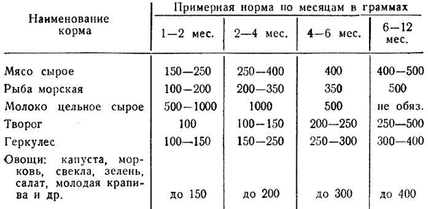 Можно ли давать собаке молоко: коровье, козье